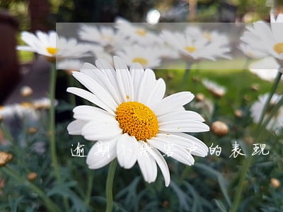 逾期小微客户的表现 逾期小微客户的表现
