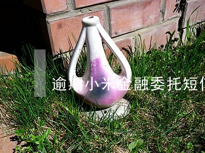 逾期小米金融委托短信 逾期小米金融委托短信