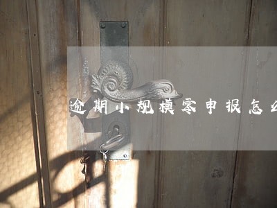 逾期小规模零申报怎么填表 逾期小规模零申报怎么填表