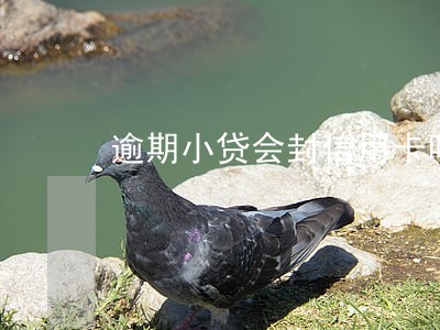 逾期小贷会封信用卡吗 逾期小贷会封信用卡吗