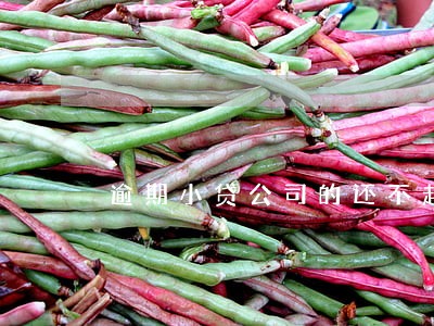 逾期小贷公司的还不起怎么办