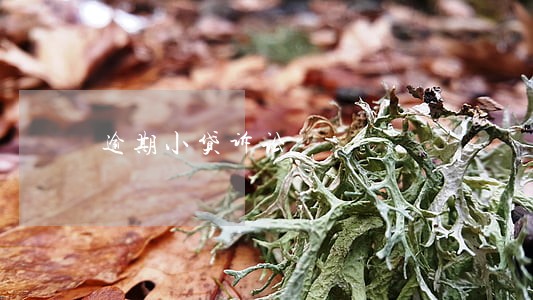 逾期小贷诉讼 逾期小贷诉讼