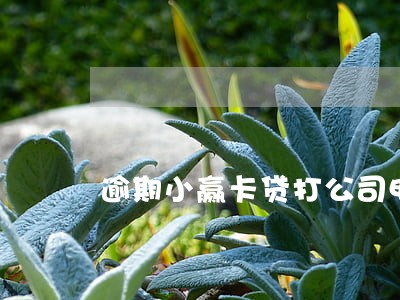 逾期小赢卡贷打公司电话 逾期小赢卡贷打公司电话