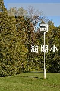 逾期小金额如何恢复征信 逾期小金额如何恢复征信
