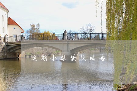 逾期小额贷款被告 逾期小额贷款被告