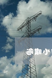 逾期小额透支说明 逾期小额透支说明