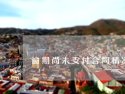逾期尚未支付合同情况 逾期尚未支付合同情况
