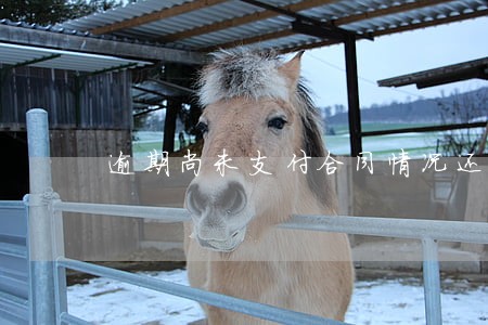逾期尚未支付合同情况还未填录