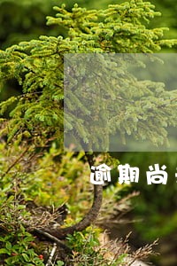 逾期尚未结清利益结清 逾期尚未结清利益结清