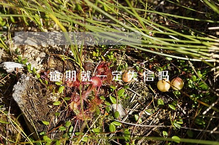 逾期就一定失信吗 逾期就一定失信吗
