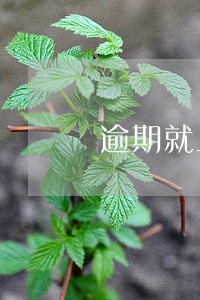 逾期就上黑名单吗 逾期就上黑名单吗