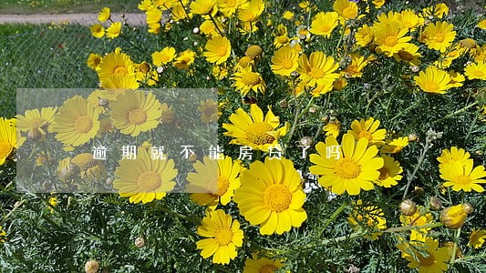 逾期就不能房贷了吗 逾期就不能房贷了吗