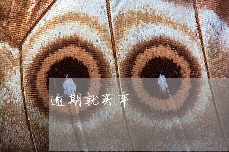 逾期就买车 逾期就买车