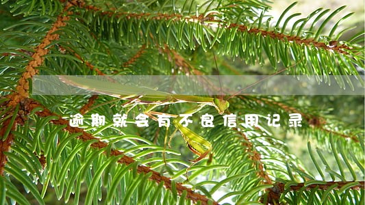 逾期就会有不良信用记录 逾期就会有不良信用记录