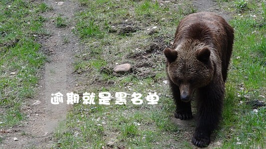 逾期就是黑名单 逾期就是黑名单