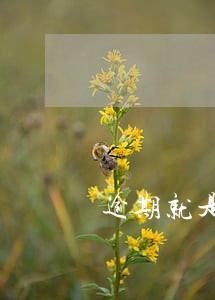 逾期就是黑名单吗