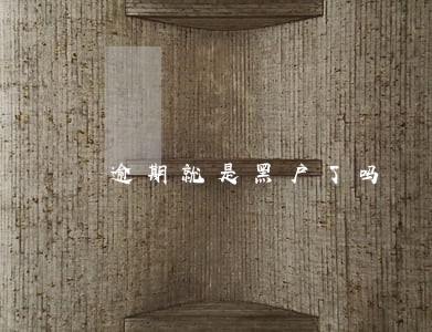 逾期就是黑户了吗 逾期就是黑户了吗