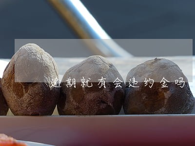 逾期就有会违约金吗 逾期就有会违约金吗