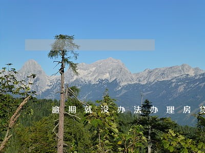 逾期就没办法办理房贷了吗 逾期就没办法办理房贷了吗