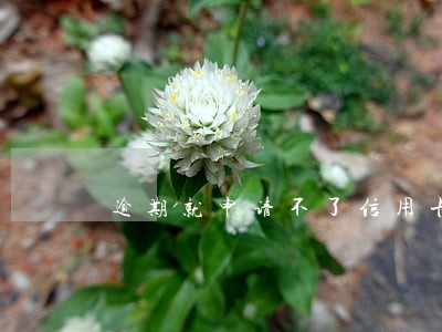 逾期就申请不了信用卡了吗 逾期就申请不了信用卡了吗