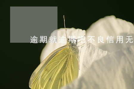 逾期就逾期吧不良信用无所谓