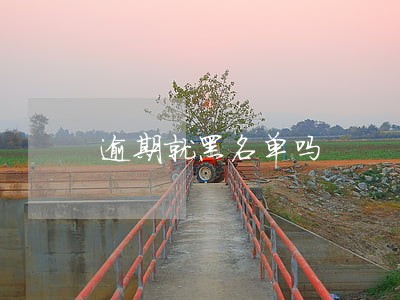 逾期就黑名单吗 逾期就黑名单吗