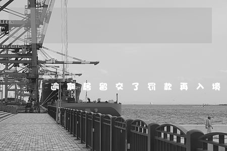 逾期居留交了罚款再入境 逾期居留交了罚款再入境
