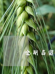 逾期居留入境是否罚款 逾期居留入境是否罚款