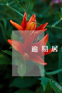 逾期居留澳门最高罚款 逾期居留澳门最高罚款
