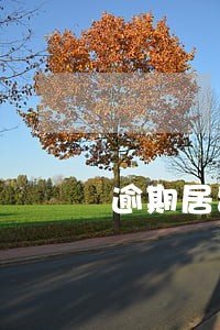 逾期居留的处罚记录 逾期居留的处罚记录