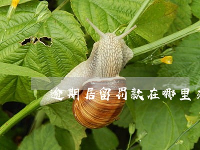 逾期居留罚款在哪里交 逾期居留罚款在哪里交