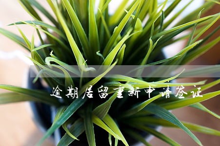逾期居留重新申请签证 逾期居留重新申请签证