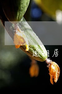 逾期居留黑名单重新申请 逾期居留黑名单重新申请