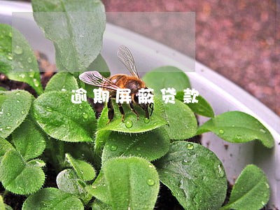 逾期屏蔽贷款 逾期屏蔽贷款