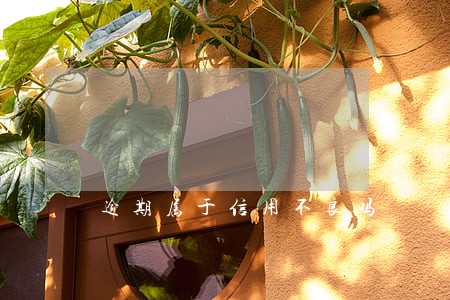 逾期属于信用不良吗 逾期属于信用不良吗