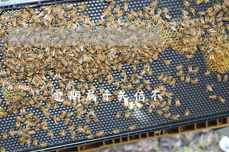 逾期属于失信不 逾期属于失信不