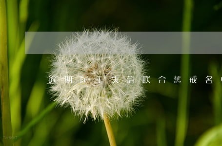 逾期属于失信联合惩戒名单查询 逾期属于失信联合惩戒名单查询