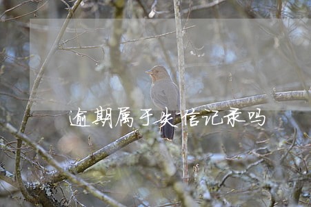 逾期属于失信记录吗 逾期属于失信记录吗