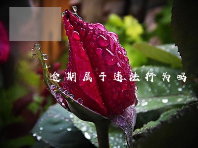 逾期属于违法行为吗