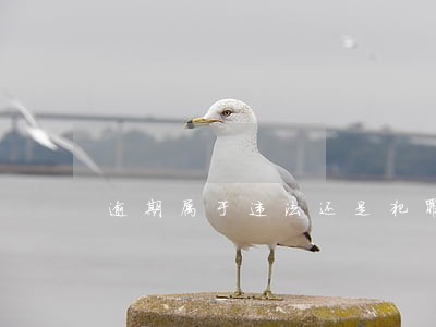 逾期属于违法还是犯罪 逾期属于违法还是犯罪