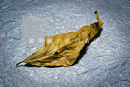逾期履约违约责任 逾期履约违约责任