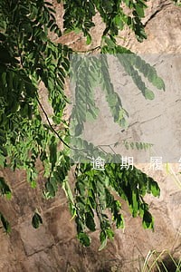 逾期履约违约金最新标准 逾期履约违约金最新标准