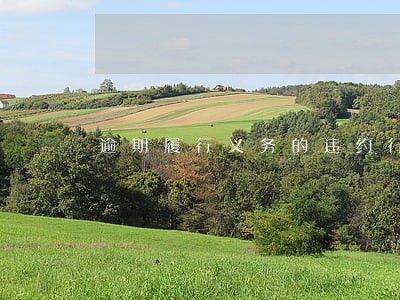 逾期履行义务的违约行为 逾期履行义务的违约行为