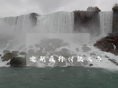 逾期履行付款义务 逾期履行付款义务