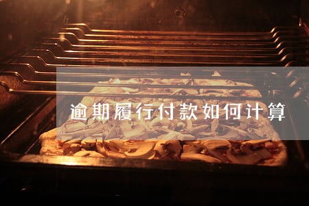 逾期履行付款如何计算 逾期履行付款如何计算