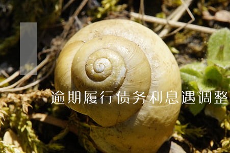 逾期履行债务利息遇调整如何计算 逾期履行债务利息遇调整如何计算