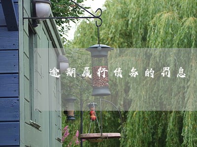 逾期履行债务的罚息 逾期履行债务的罚息