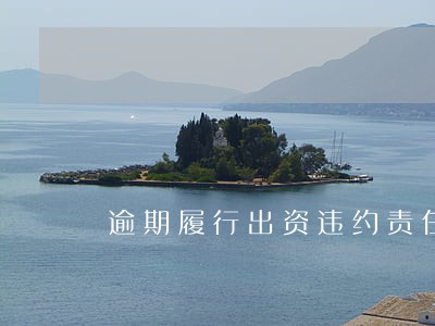 逾期履行出资违约责任 逾期履行出资违约责任