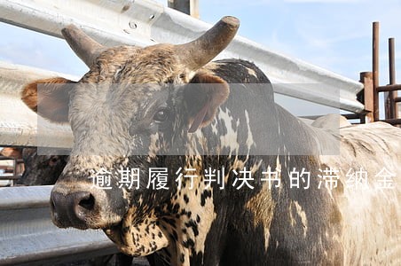 逾期履行判决书的滞纳金 逾期履行判决书的滞纳金