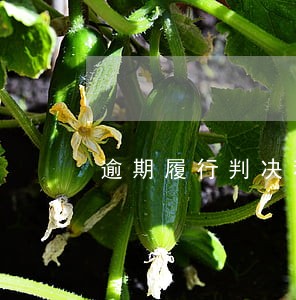 逾期履行判决利息计算办法 逾期履行判决利息计算办法